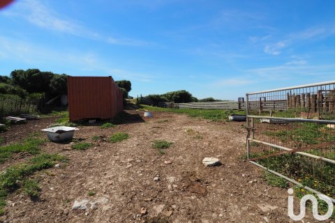 Commercial property for sale in Tarifa, Cadiz, Spain No. 153834 - photo 12