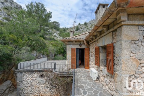House for sale in Pollenca, Mallorca, Spain 10 bedrooms, 1200 sq.m. No. 153837 - photo 10