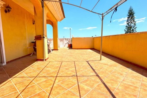Villa à vendre Los Balcones, Alicante, Espagne, 6 chambres, 340 m2 No. 114554 - photo 8