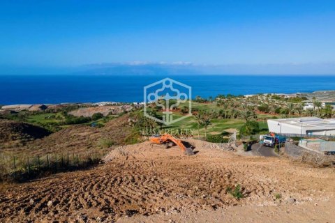 Land plot à Guia de Isora, Tenerife, Espagne No. 161347