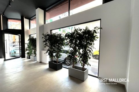 Lokal usługowy w Palma de Majorca, Mallorca, Hiszpania nr 161349 – zdjęcie 3