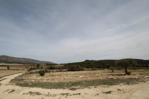 Finca in vendita a Monovar, Alicante, Spagna 1 camera da letto, 115 mq. N° 189410 - foto 14