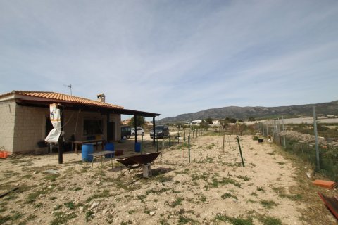 Finca in vendita a Monovar, Alicante, Spagna 1 camera da letto, 115 mq. N° 189410 - foto 20