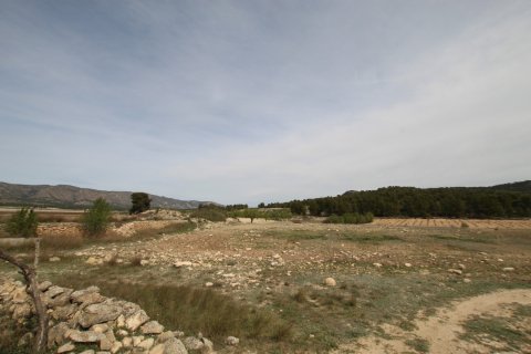 Finca in vendita a Monovar, Alicante, Spagna 1 camera da letto, 115 mq. N° 189410 - foto 6