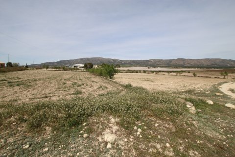 Finca in vendita a Monovar, Alicante, Spagna 1 camera da letto, 115 mq. N° 189410 - foto 13