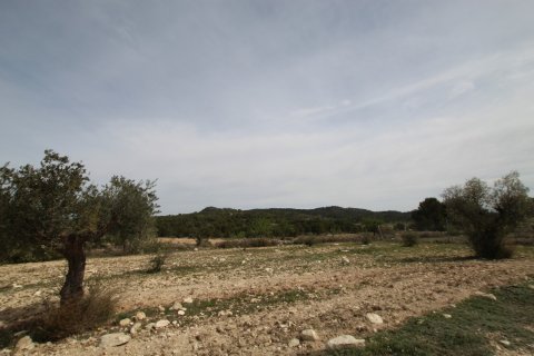 Finca in vendita a Monovar, Alicante, Spagna 1 camera da letto, 115 mq. N° 189410 - foto 16