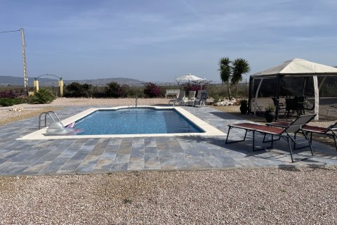 Villa pārdošanā Alhama de Murcia, Murcia, Spānijā 5 istabas, 263 m2 Nr. 189411 - attēls 22