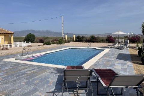 Villa pārdošanā Alhama de Murcia, Murcia, Spānijā 5 istabas, 263 m2 Nr. 189411 - attēls 23