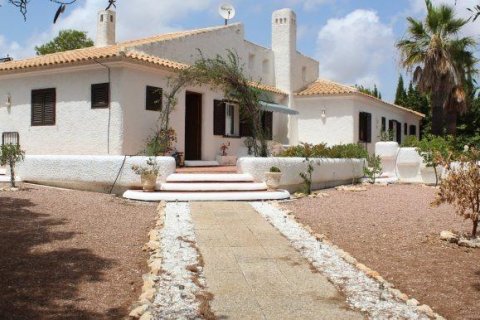 Villa à Villamartin, Alicante, Espagne 4 chambres, 300 m2 No. 189409