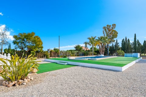 Finca for sale in Dolores, Alicante, Spain 4 bedrooms, 222 sq.m. No. 155366 - photo 27