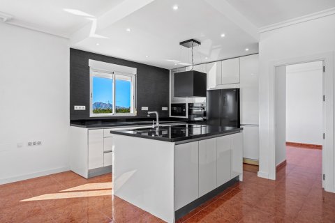 Finca for sale in Dolores, Alicante, Spain 4 bedrooms, 222 sq.m. No. 155366 - photo 14