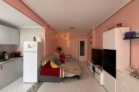 Продажа квартиры в Торревьеха, Аликанте, Испания 1 спальня, 59м2 №184349 - фото 13