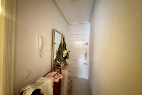 Продажа квартиры в Торревьеха, Аликанте, Испания 1 спальня, 59м2 №184349 - фото 7