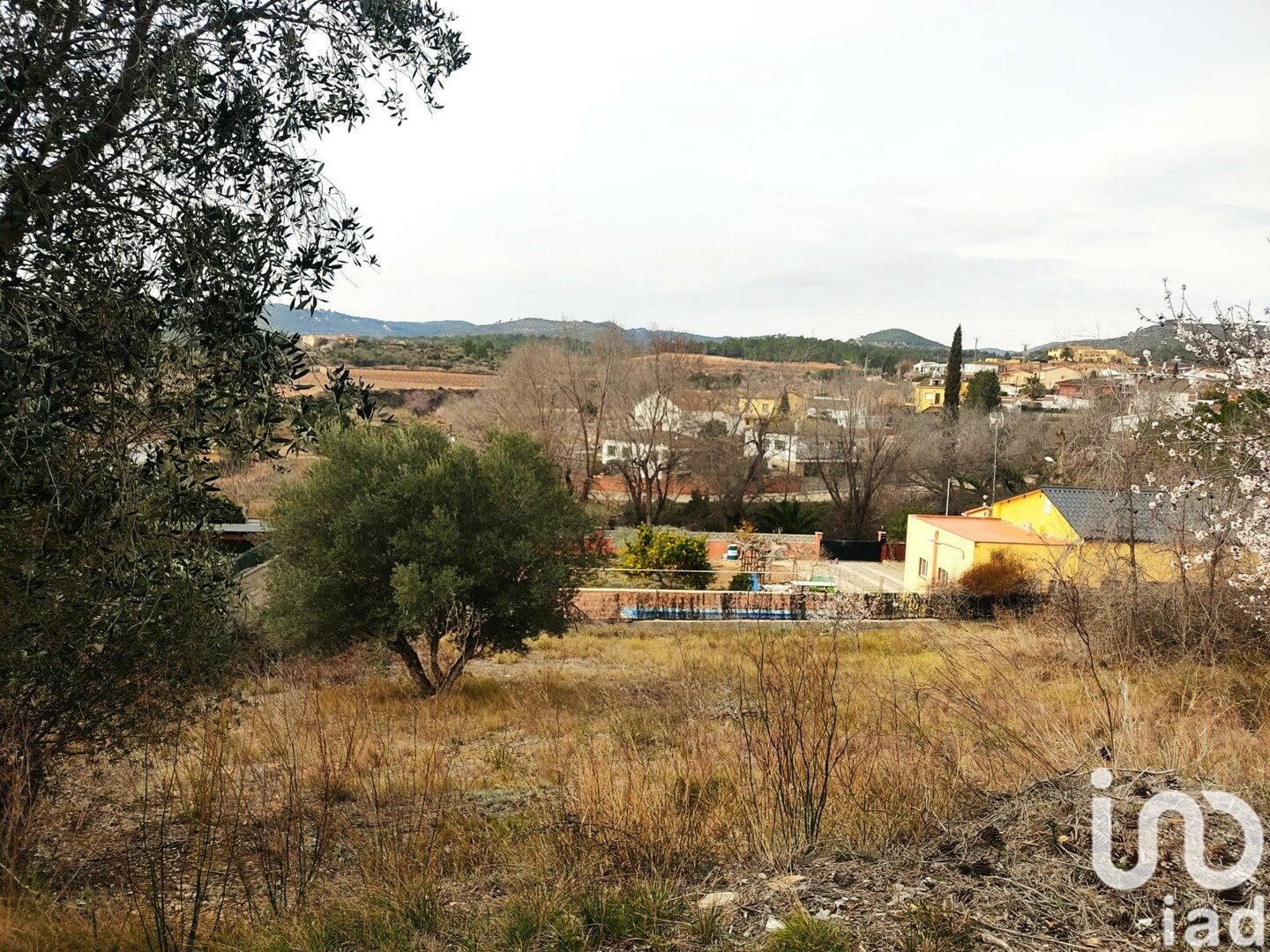 Terreno a La Bisbal Del Penedes, Tarragona, Spagna 530 mq. N° 186177