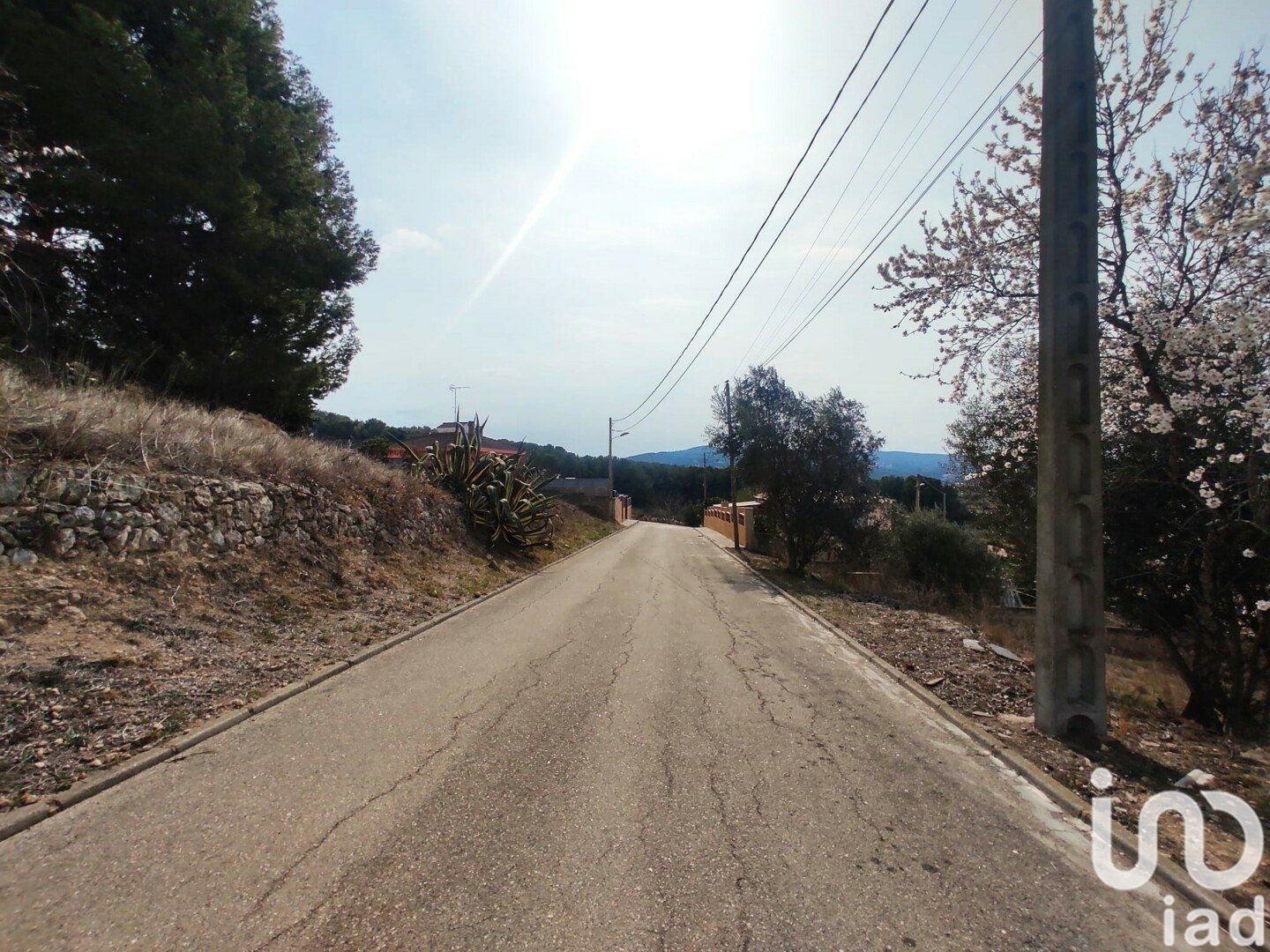 Terreno a La Bisbal Del Penedes, Tarragona, Spagna 530 mq. N° 186177