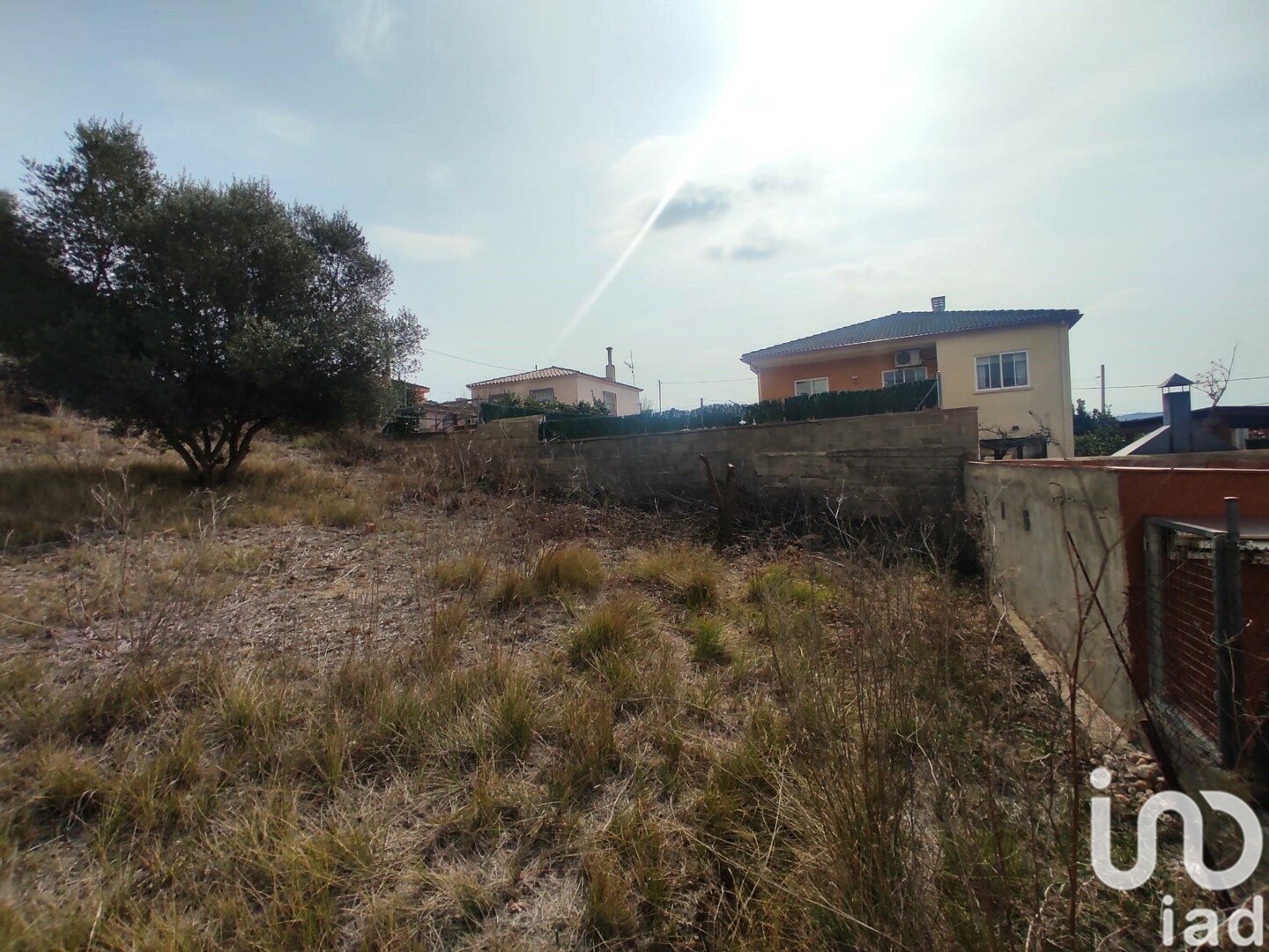 Terreno a La Bisbal Del Penedes, Tarragona, Spagna 530 mq. N° 186177