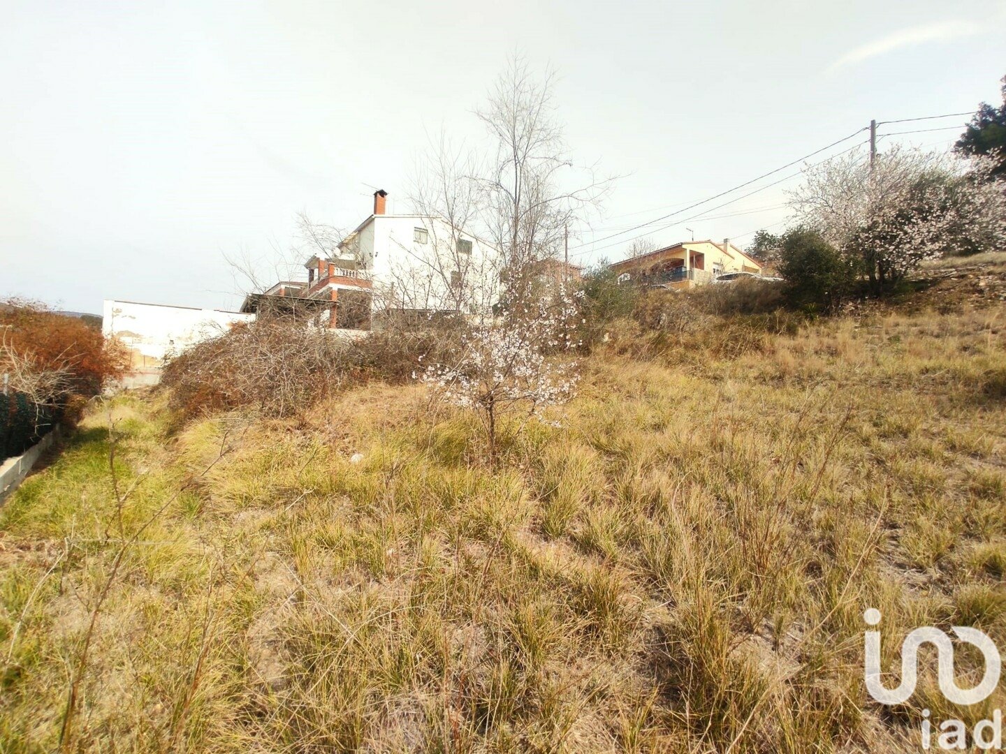 Terreno a La Bisbal Del Penedes, Tarragona, Spagna 530 mq. N° 186177
