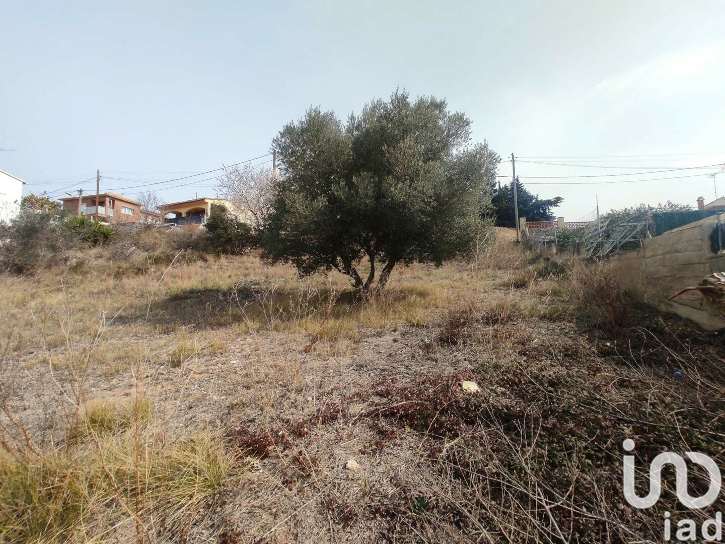 Terreno a La Bisbal Del Penedes, Tarragona, Spagna 530 mq. N° 186177