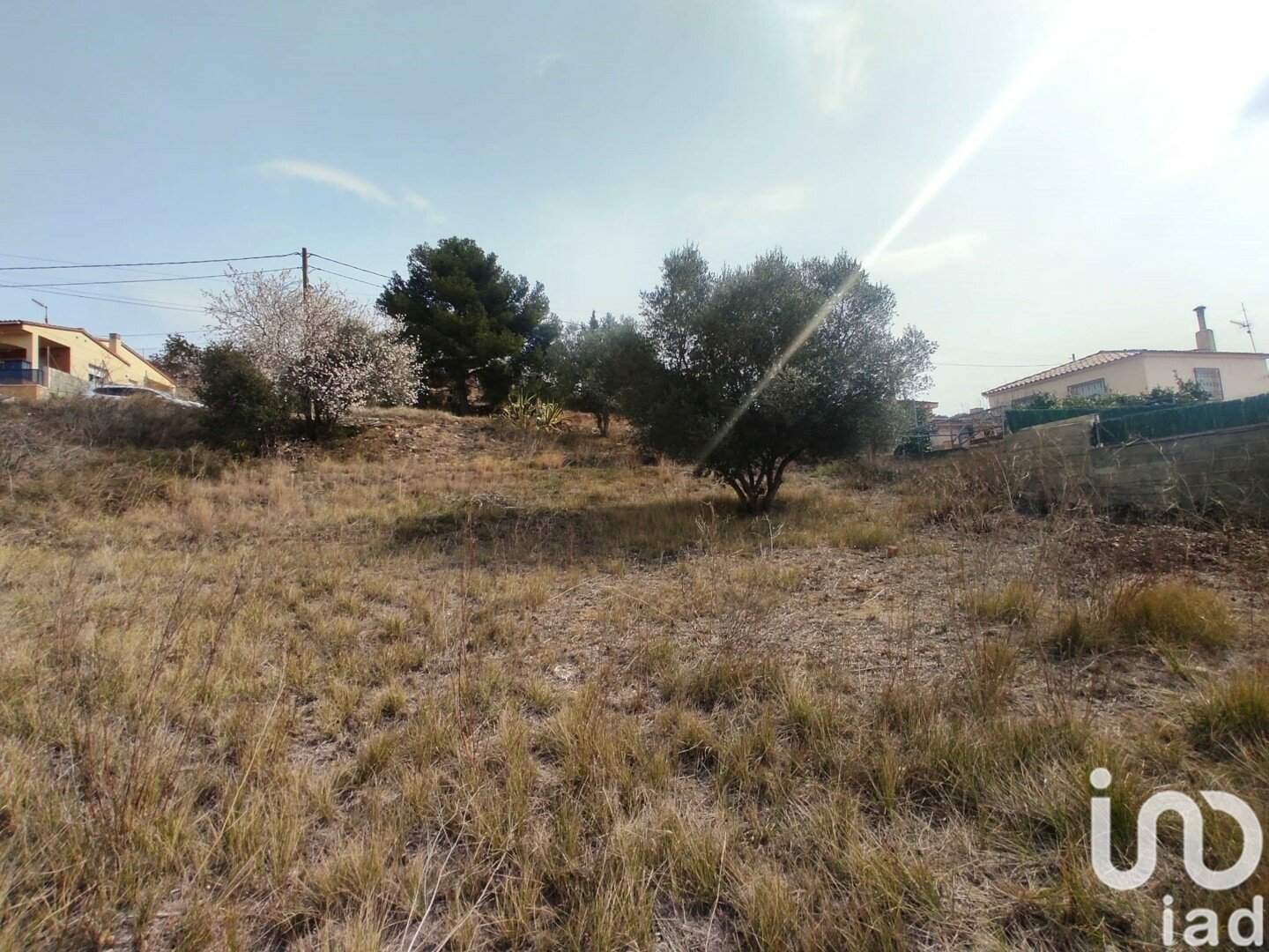 Terreno a La Bisbal Del Penedes, Tarragona, Spagna 530 mq. N° 186177