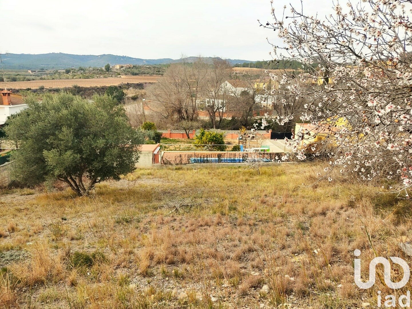 Terreno a La Bisbal Del Penedes, Tarragona, Spagna 530 mq. N° 186177
