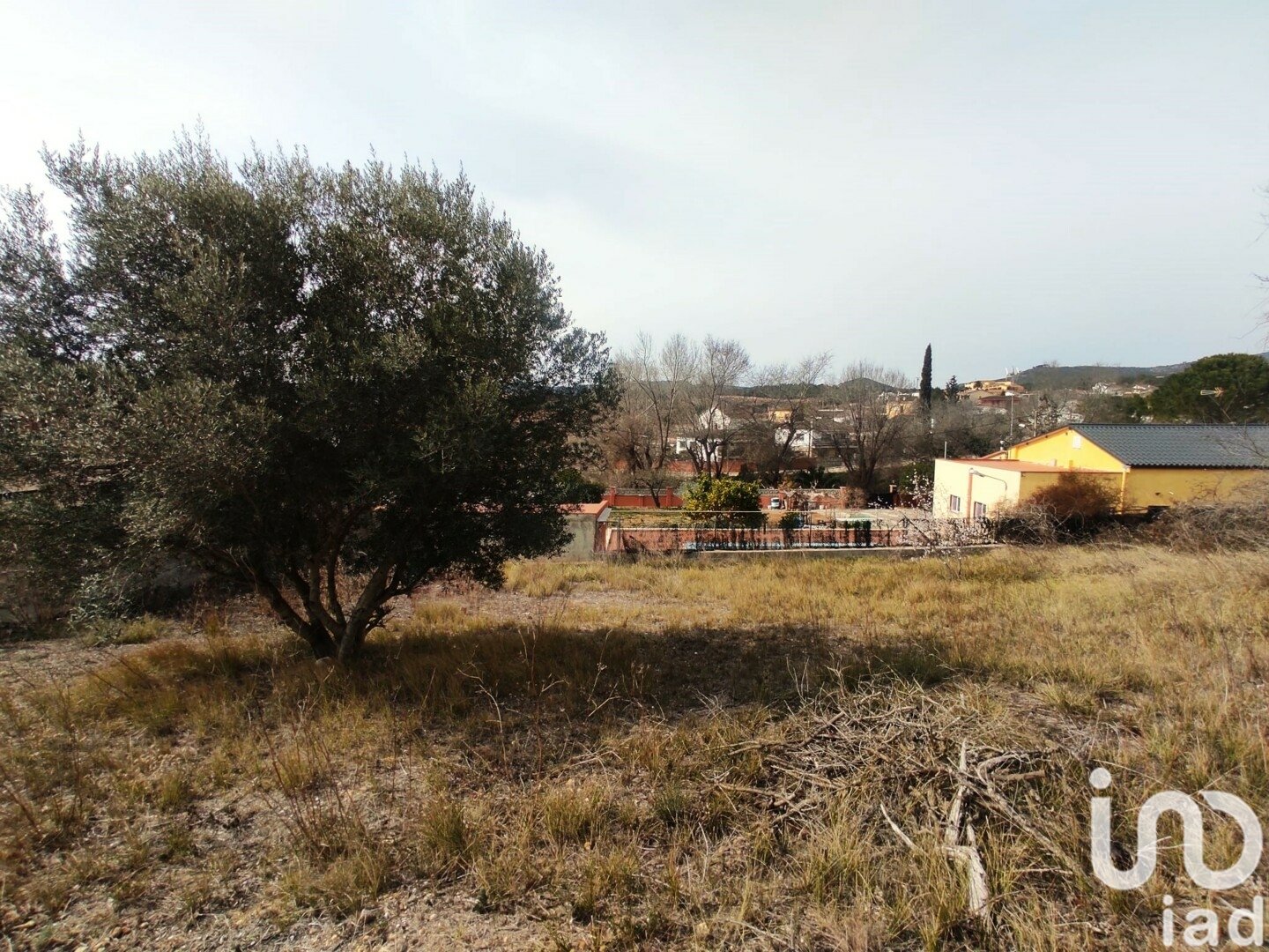Terreno a La Bisbal Del Penedes, Tarragona, Spagna 530 mq. N° 186177