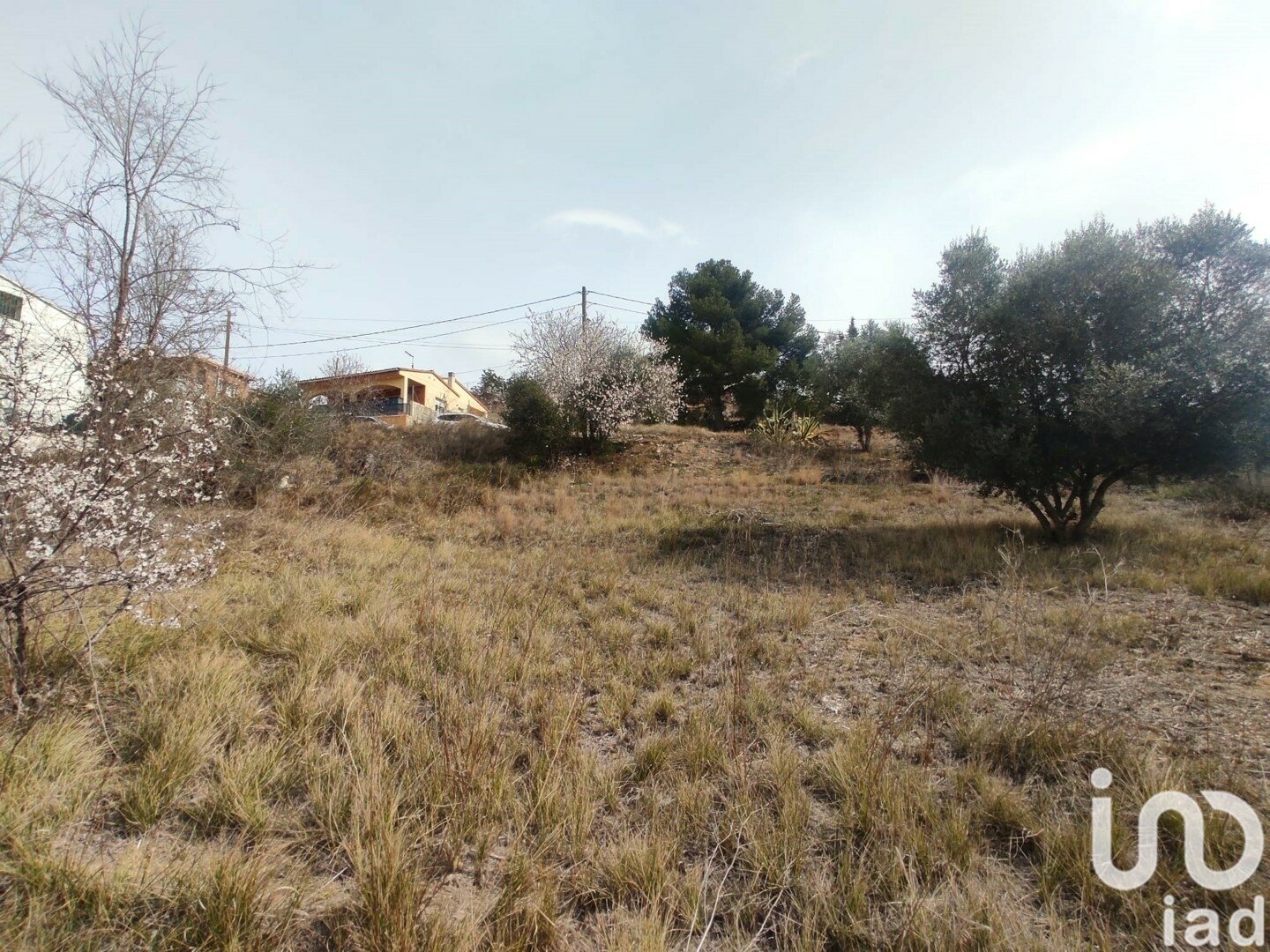 Terreno a La Bisbal Del Penedes, Tarragona, Spagna 530 mq. N° 186177