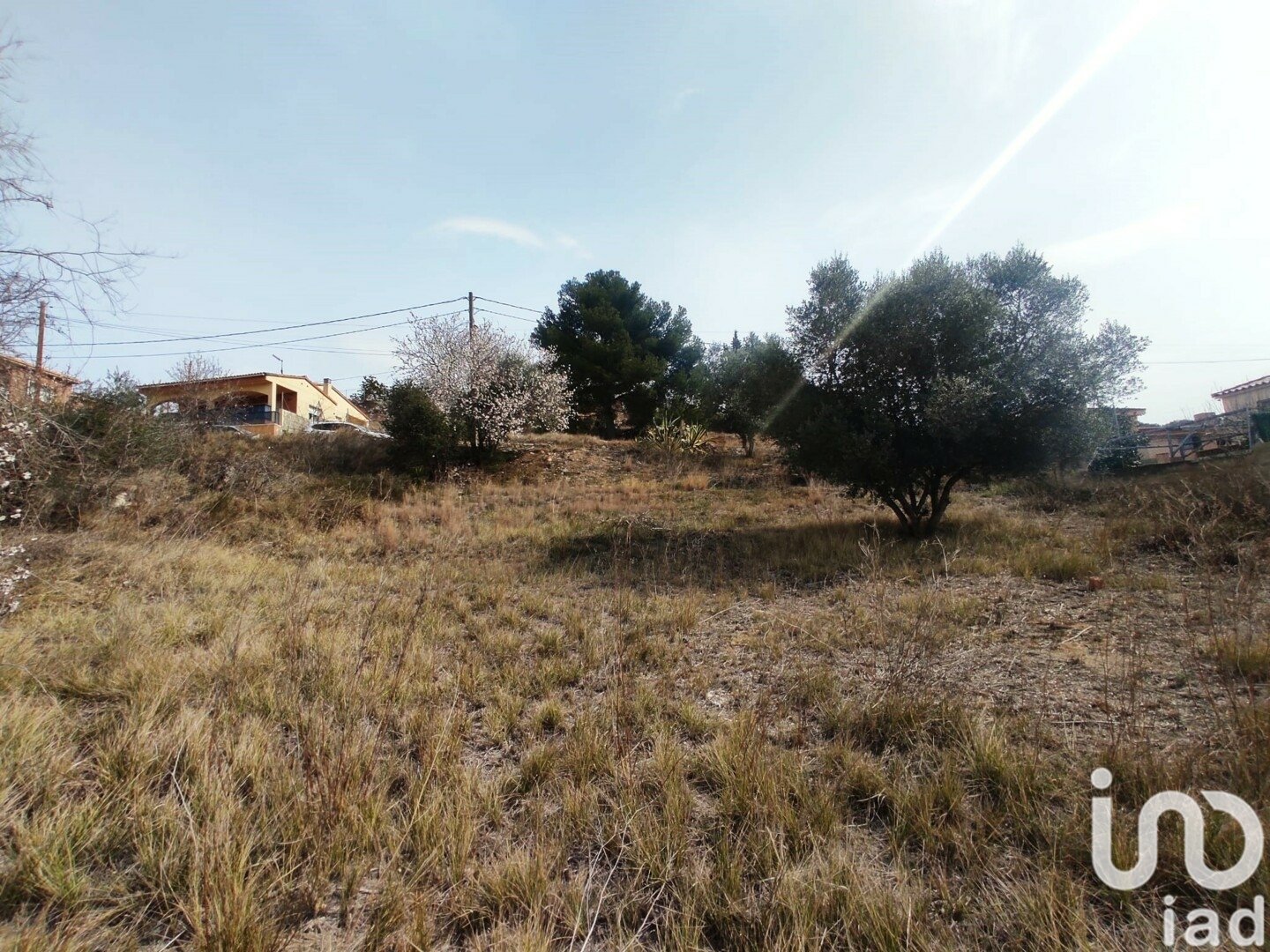 Terreno a La Bisbal Del Penedes, Tarragona, Spagna 530 mq. N° 186177