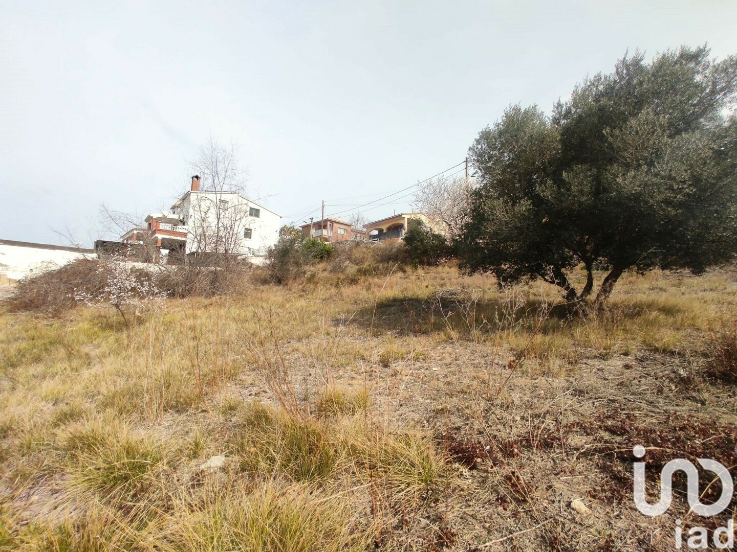 Terreno a La Bisbal Del Penedes, Tarragona, Spagna 530 mq. N° 186177