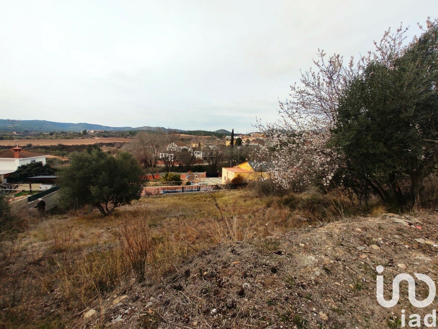 Terreno a La Bisbal Del Penedes, Tarragona, Spagna 530 mq. N° 186177