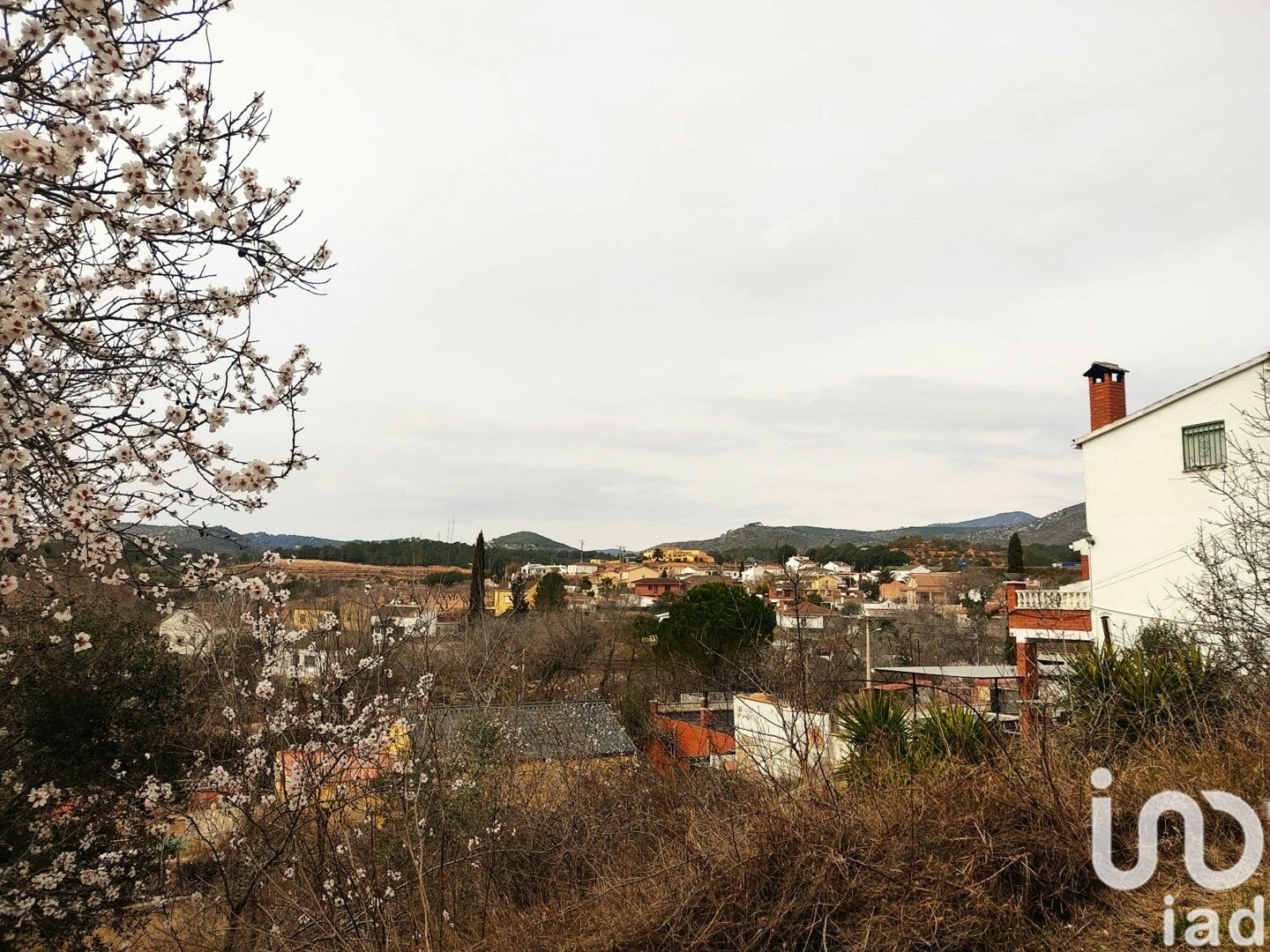 Terreno a La Bisbal Del Penedes, Tarragona, Spagna 530 mq. N° 186177