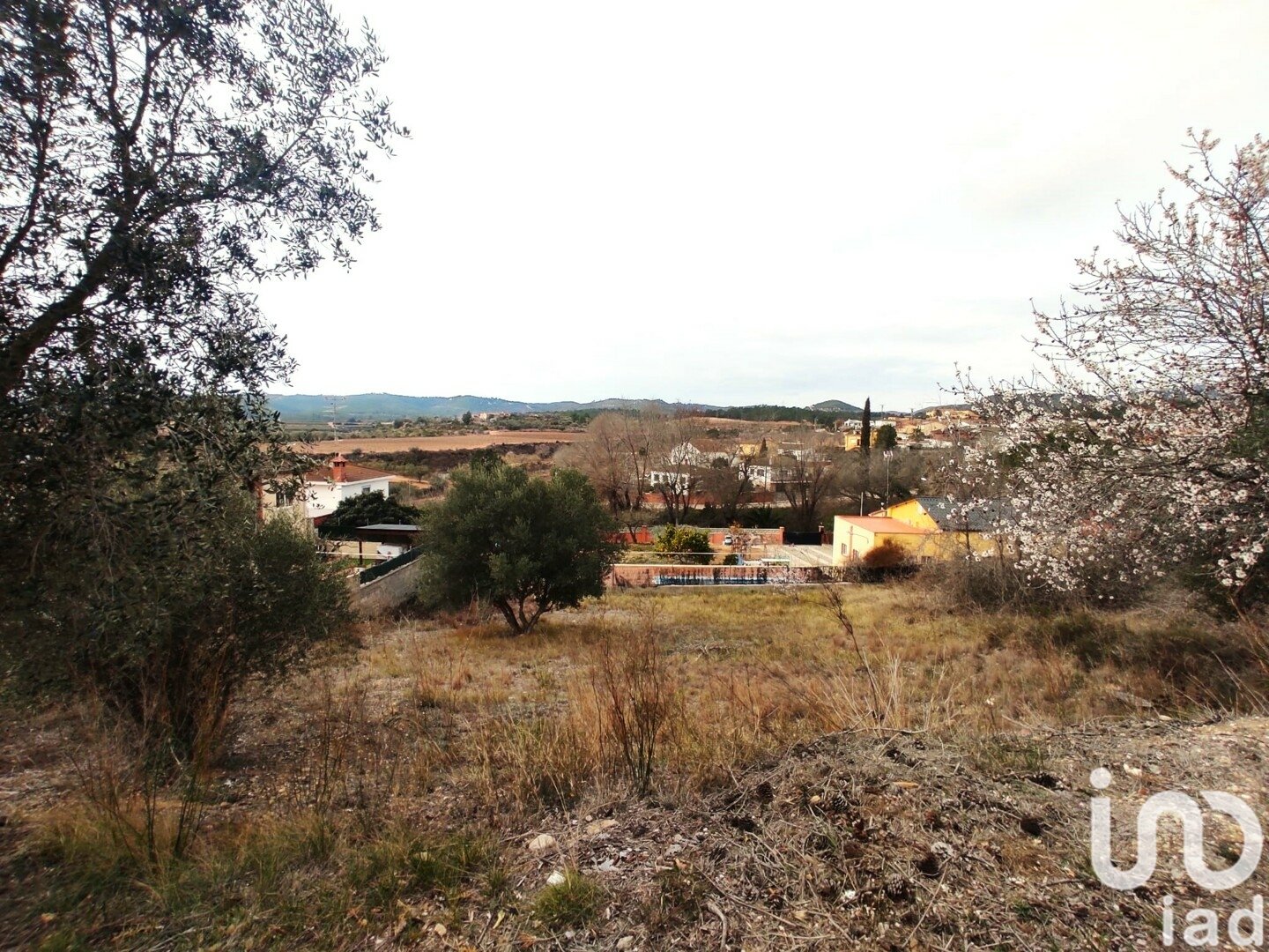 Terreno a La Bisbal Del Penedes, Tarragona, Spagna 530 mq. N° 186177