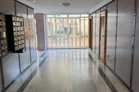 Huoneisto myytävänä Torrevieja, Alicante, Espanja, 1 makuuhuone, 49 m2 No. 183396 - kuva 6