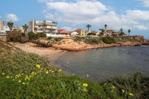 Apartamento en venta en Torrevieja, Alicante, España 1 dormitorio, 42 m2 No. 183397 - foto 7