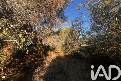 Land plot à vendre à Palamos, Girona, Espagne, 2949 m2 No. 152378 - photo 7