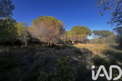 Land plot à vendre à Palamos, Girona, Espagne, 2949 m2 No. 152378 - photo 6