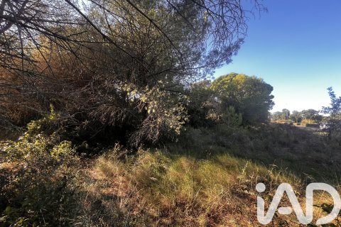 Land plot à vendre à Palamos, Girona, Espagne, 2949 m2 No. 152378 - photo 5