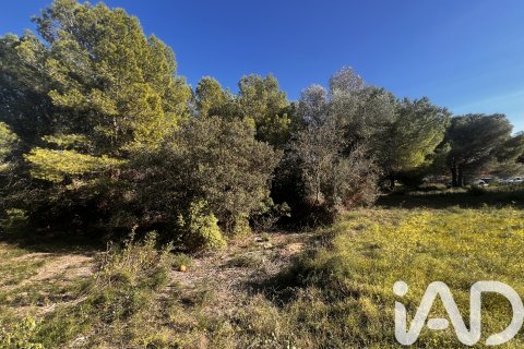 Land plot à vendre à Palamos, Girona, Espagne, 2949 m2 No. 152378 - photo 3