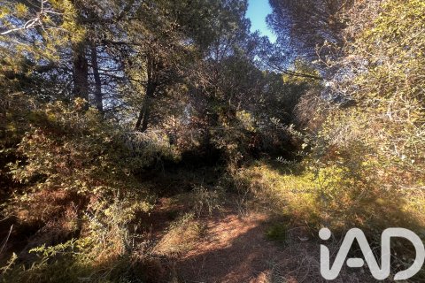 Land plot à vendre à Palamos, Girona, Espagne, 2949 m2 No. 152378 - photo 8