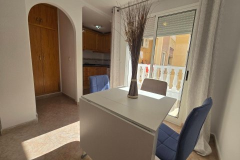 Apartament w Torrevieja, Alicante, Hiszpania 1 pokój, 45 mkw. nr 184340