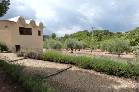 Finca à vendre Ibi, Alicante, Espagne, 15 chambres, 800 m2 No. 138229 - photo 26