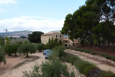 Finca à vendre Ibi, Alicante, Espagne, 15 chambres, 800 m2 No. 138229 - photo 5