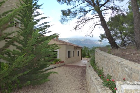 Finca à vendre Ibi, Alicante, Espagne, 15 chambres, 800 m2 No. 138229 - photo 7