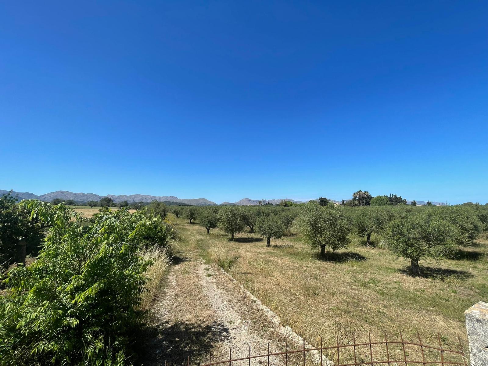 Terreno a Alcudia, Mallorca, Spagna 35860 mq. N° 150117