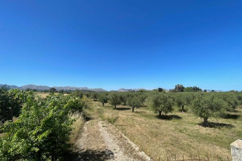 Parcela en venta en Alcudia, Mallorca, España 35860 m2 No. 150117 - foto 6