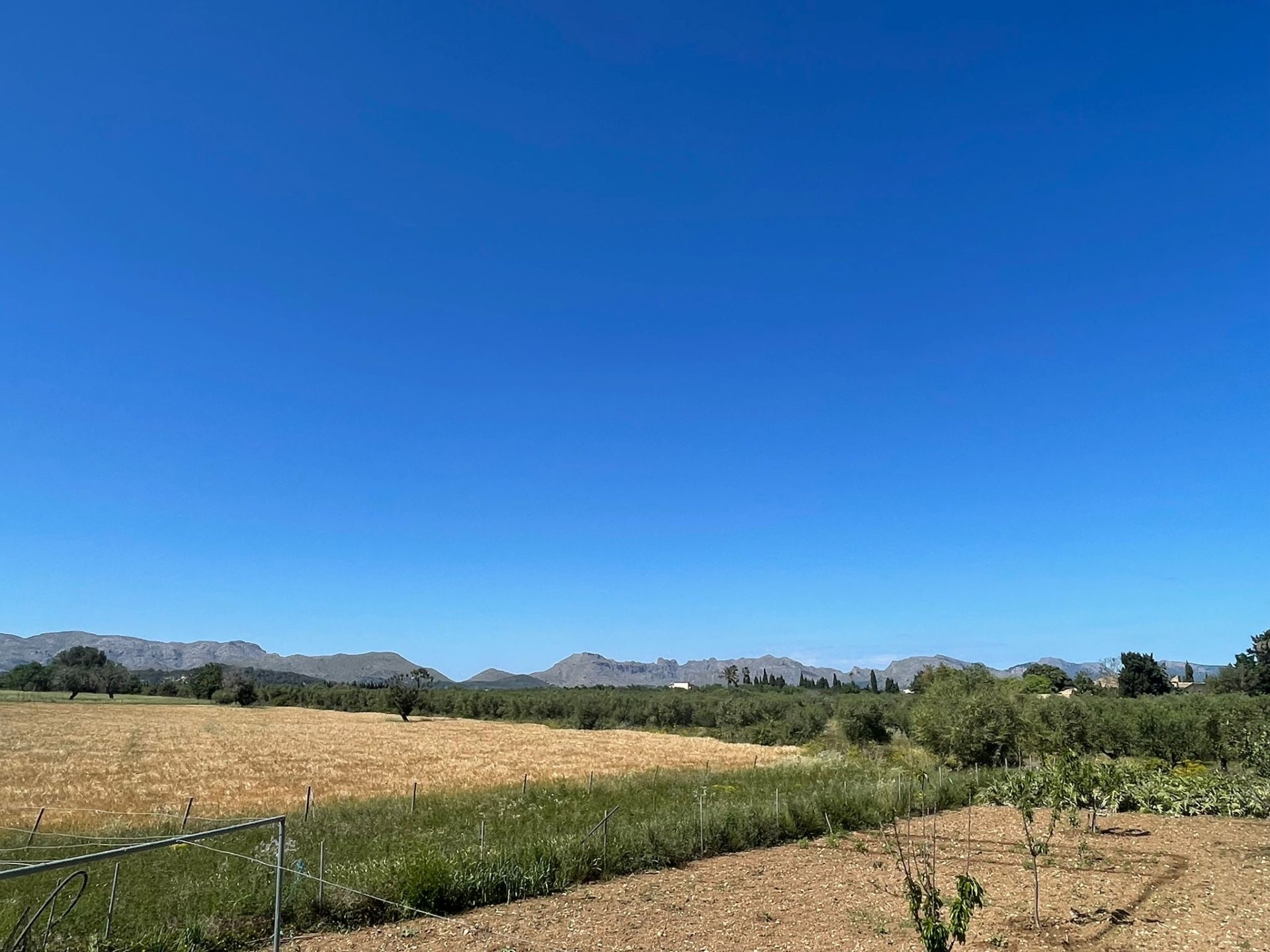 Terreno a Alcudia, Mallorca, Spagna 35860 mq. N° 150117