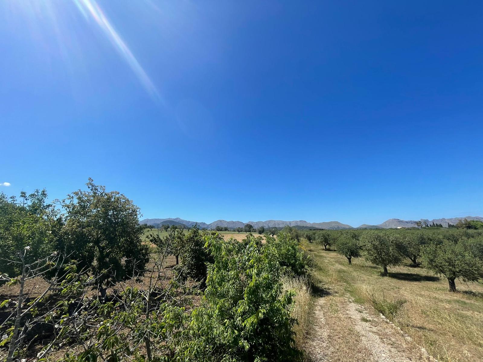 Terreno a Alcudia, Mallorca, Spagna 35860 mq. N° 150117