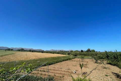 Parcela en venta en Alcudia, Mallorca, España 35860 m2 No. 150117 - foto 3