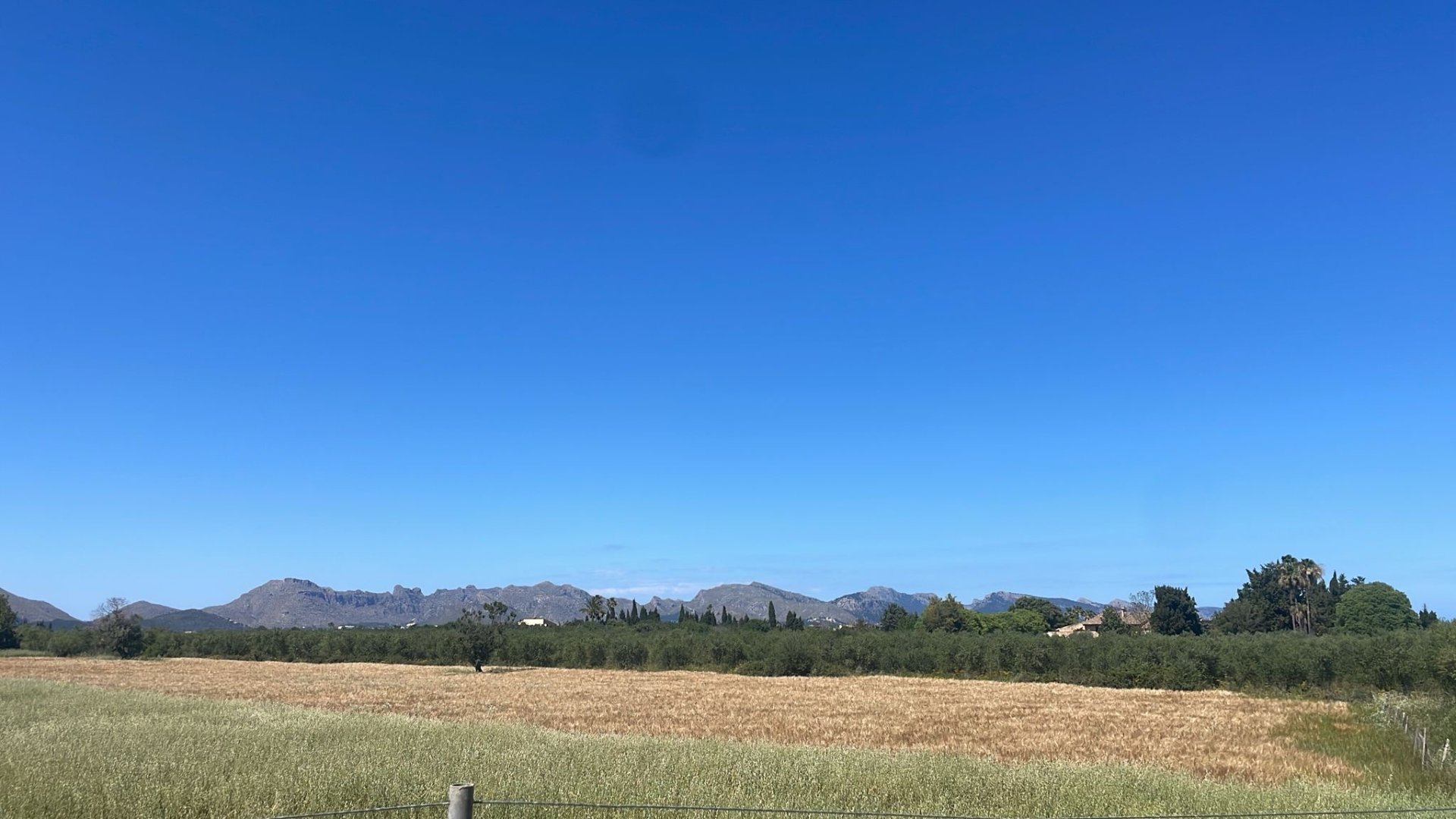 Terreno a Alcudia, Mallorca, Spagna 35860 mq. N° 150117