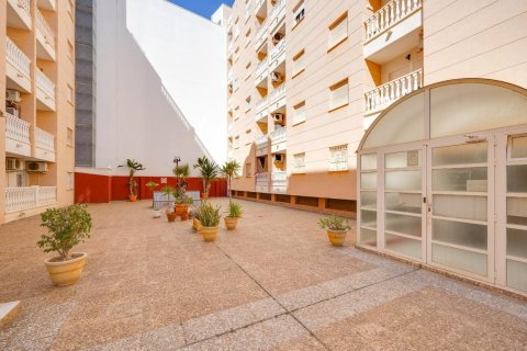 Apartamento en venta en Torrevieja, Alicante, España 1 dormitorio, 65 m2 No. 194958 - foto 24