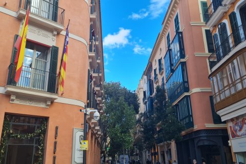 Apartment for rent in Palma de Majorca, Mallorca, Spain 1 bedroom, 80 sq.m. No. 168702 - photo 15